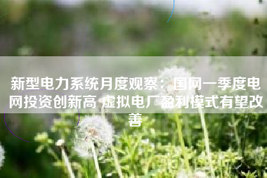 新型电力系统月度观察：国网一季度电网投资创新高 虚拟电厂盈利模式有望改善