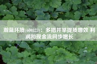 瀚蓝环境(600323)：多措并举提质增效 利润和现金流同步增长