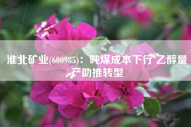 淮北矿业(600985)：吨煤成本下行 乙醇量产助推转型
