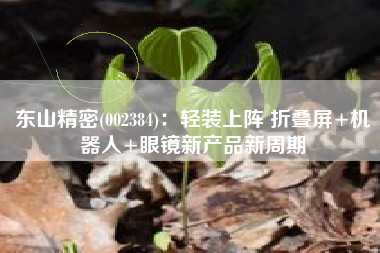 东山精密(002384)：轻装上阵 折叠屏+机器人+眼镜新产品新周期