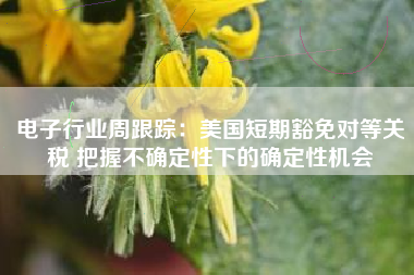 电子行业周跟踪：美国短期豁免对等关税 把握不确定性下的确定性机会