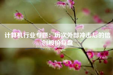 计算机行业专题：历次外部冲击后的信创股价复盘