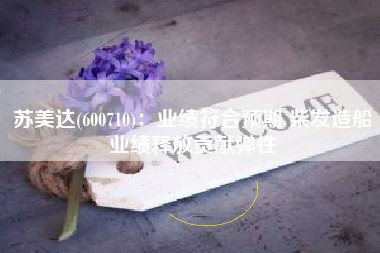 苏美达(600710)：业绩符合预期 柴发造船业绩释放贡献弹性