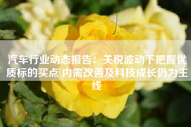 汽车行业动态报告：关税波动下把握优质标的买点 内需改善及科技成长仍为主线