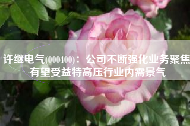 许继电气(000400)：公司不断强化业务聚焦 有望受益特高压行业内需景气