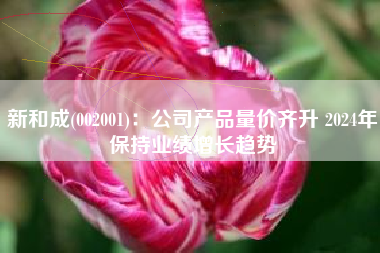 新和成(002001)：公司产品量价齐升 2024年保持业绩增长趋势