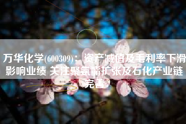 万华化学(600309)：资产减值及毛利率下滑影响业绩 关注聚氨酯扩张及石化产业链完善