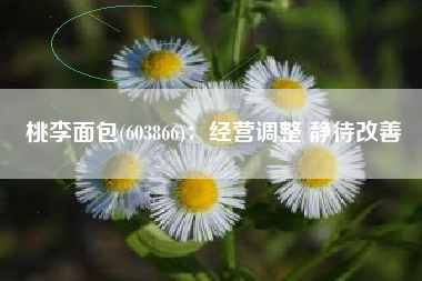 桃李面包(603866)：经营调整 静待改善