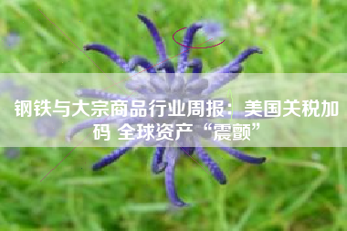 钢铁与大宗商品行业周报：美国关税加码 全球资产“震颤”