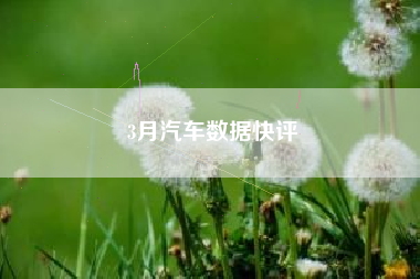 3月汽车数据快评