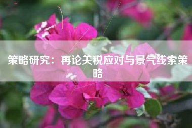 策略研究：再论关税应对与景气线索策略