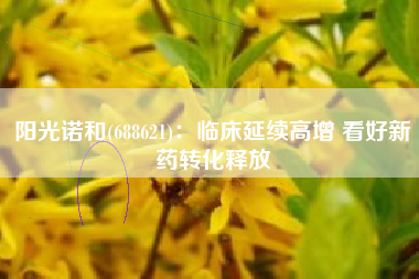 阳光诺和(688621)：临床延续高增 看好新药转化释放