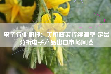 电子行业周报：关税政策持续调整 定量分析电子产品出口市场风险