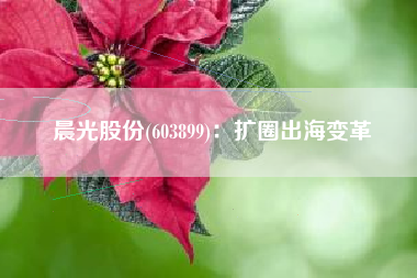 晨光股份(603899)：扩圈出海变革