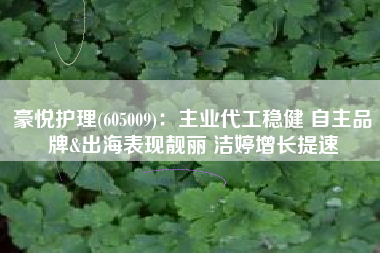 豪悦护理(605009)：主业代工稳健 自主品牌&出海表现靓丽 洁婷增长提速