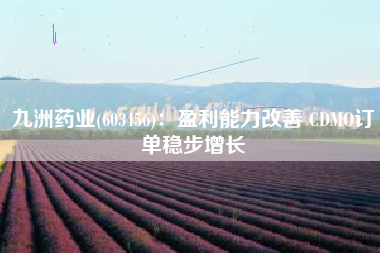 九洲药业(603456)：盈利能力改善 CDMO订单稳步增长