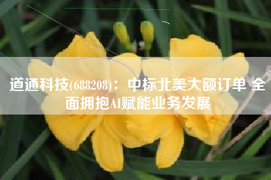 道通科技(688208)：中标北美大额订单 全面拥抱AI赋能业务发展