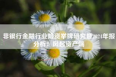 非银行金融行业险资举牌研究暨2024年报分析：风起资产端