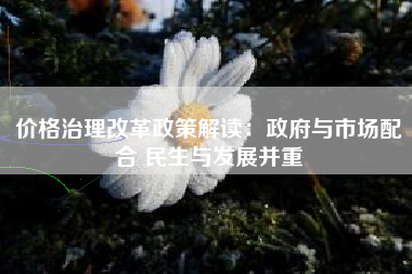 价格治理改革政策解读：政府与市场配合 民生与发展并重
