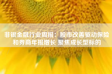 非银金融行业周报：股市改善驱动保险和券商年报增长 聚焦成长型标的