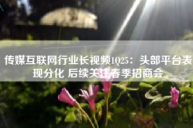 传媒互联网行业长视频1Q25：头部平台表现分化 后续关注春季招商会
