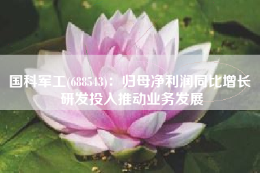 国科军工(688543)：归母净利润同比增长 研发投入推动业务发展