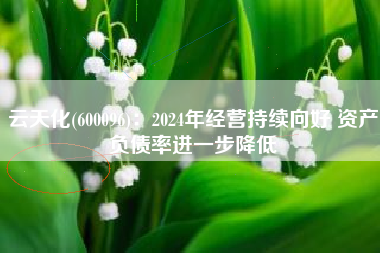 云天化(600096)：2024年经营持续向好 资产负债率进一步降低