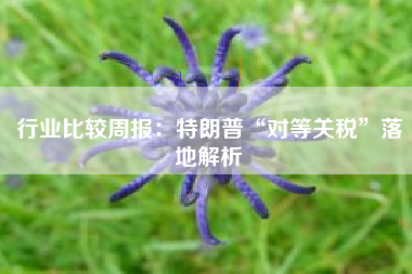 行业比较周报：特朗普“对等关税”落地解析