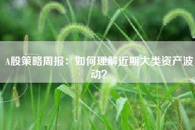 A股策略周报：如何理解近期大类资产波动？