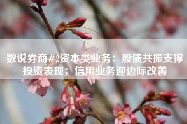 数说券商#2资本类业务：股债共振支撑投资表现；信用业务迎边际改善