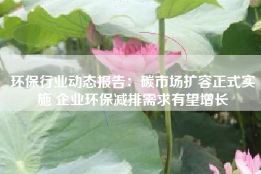 环保行业动态报告：碳市场扩容正式实施 企业环保减排需求有望增长