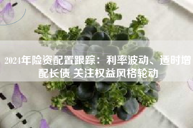 2024年险资配置跟踪：利率波动、适时增配长债 关注权益风格轮动