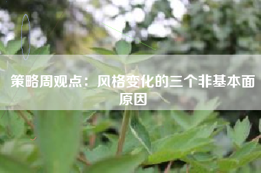 策略周观点：风格变化的三个非基本面原因