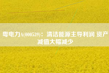 粤电力A(000539)：清洁能源主导利润 资产减值大幅减少