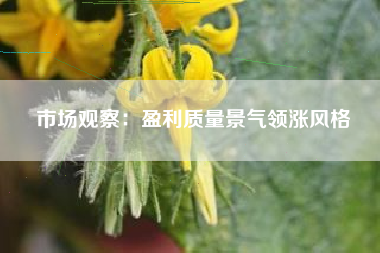市场观察：盈利质量景气领涨风格