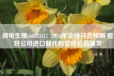 微电生理(688351)：2024年业绩符合预期 看好公司进口替代和管线价值爆发