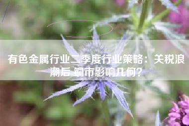 有色金属行业二季度行业策略：关税浪潮后 铜市影响几何？