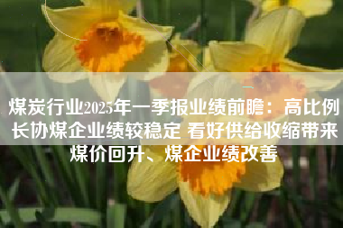 煤炭行业2025年一季报业绩前瞻：高比例长协煤企业绩较稳定 看好供给收缩带来煤价回升、煤企业绩改善