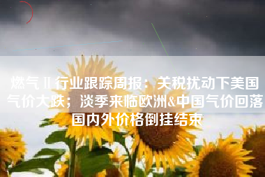 燃气Ⅱ行业跟踪周报：关税扰动下美国气价大跌；淡季来临欧洲&中国气价回落 国内外价格倒挂结束