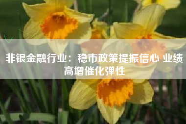 非银金融行业：稳市政策提振信心 业绩高增催化弹性