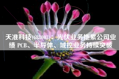天准科技(688003)：光伏业务拖累公司业绩 PCB、半导体、域控业务持续突破