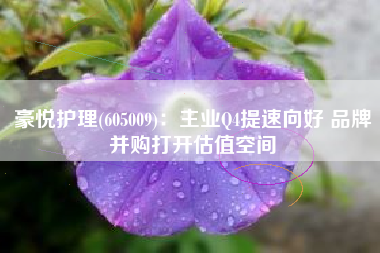 豪悦护理(605009)：主业Q4提速向好 品牌并购打开估值空间