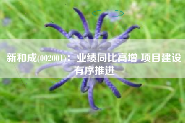 新和成(002001)：业绩同比高增 项目建设有序推进