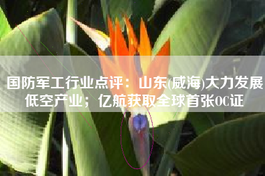 国防军工行业点评：山东(威海)大力发展低空产业；亿航获取全球首张OC证