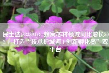 民士达(833394)：蜂窝芯材领域同比增长50%+ 打造“技术护城河+创新孵化器”双平台