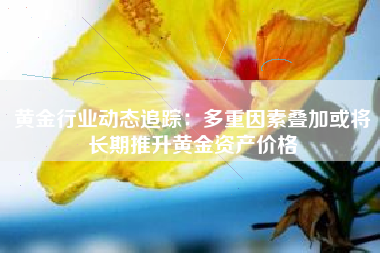 黄金行业动态追踪：多重因素叠加或将长期推升黄金资产价格