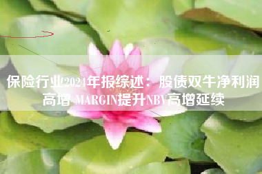 保险行业2024年报综述：股债双牛净利润高增 MARGIN提升NBV高增延续