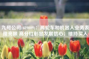 九号公司(689009)：两轮车和机器人业务表现亮眼 高分红彰显发展信心；维持买入
