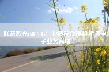 联赢激光(688518)：业绩符合预期 消费电子业务高增