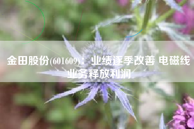 金田股份(601609)：业绩逐季改善 电磁线业务释放利润